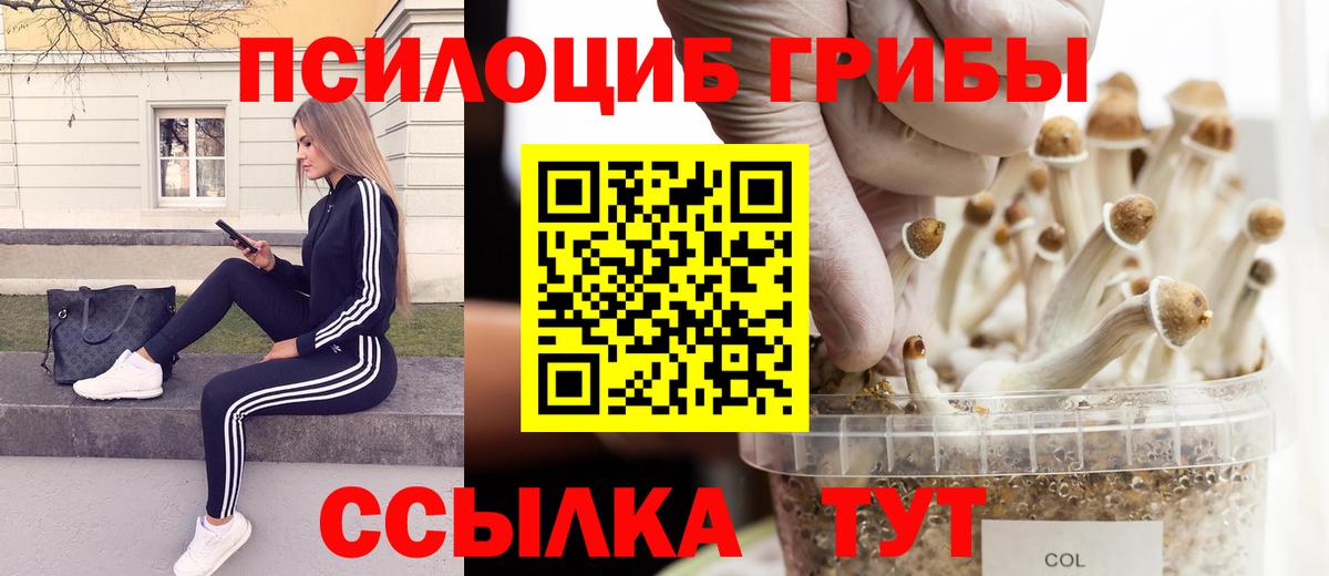 Донецк  Галлюциногенные грибы Psilocybine cubensis  Вход с VPN 