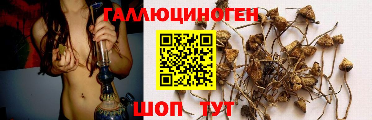 Галлюциногенные грибы Cubensis Донецк